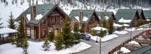 Pet-Friendly-Chalet